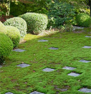стиль японского сада 